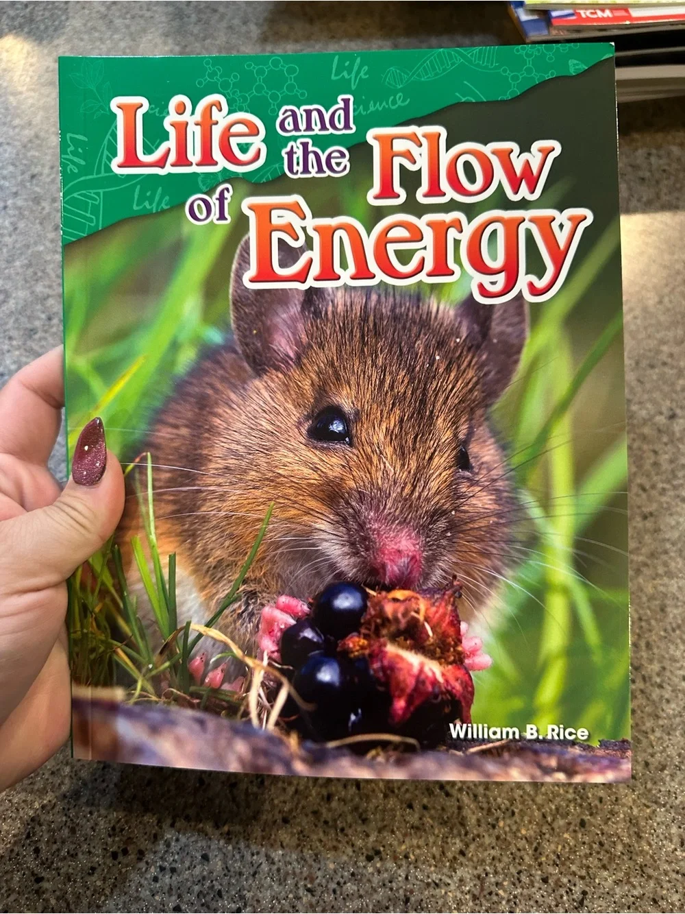 Life and the Flow of Energy - Brown Small Pets Educational Book